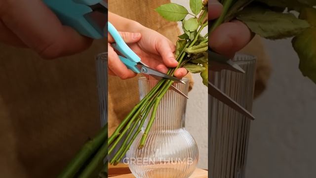 Жизненных советы на все случаи