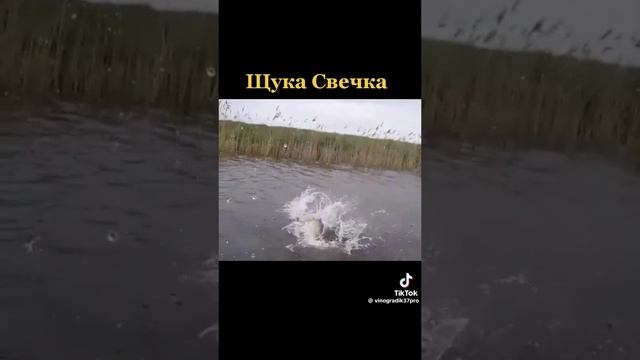 рыбалка