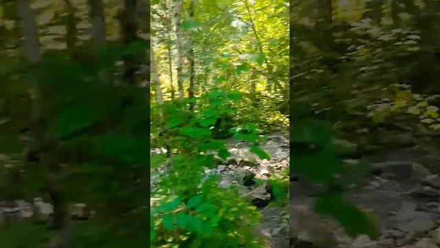 Шляемся по третьей речке