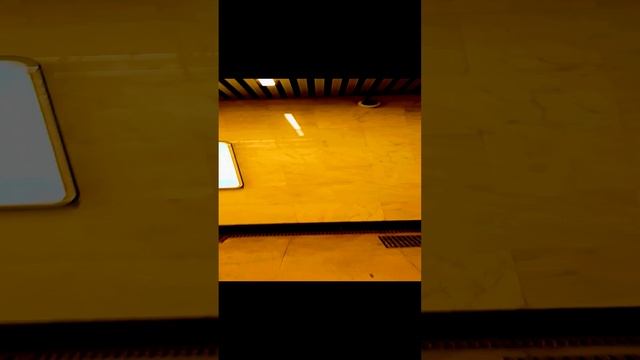 Вечерние огни