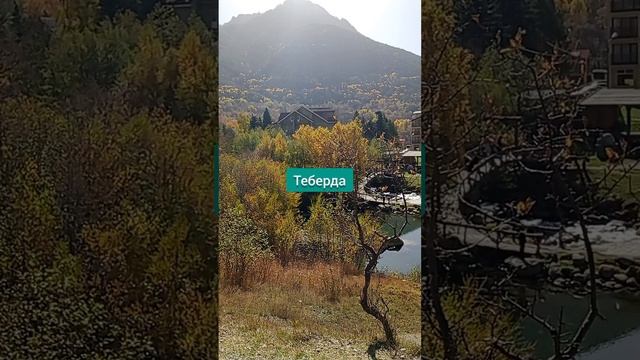 1000064689.mp4