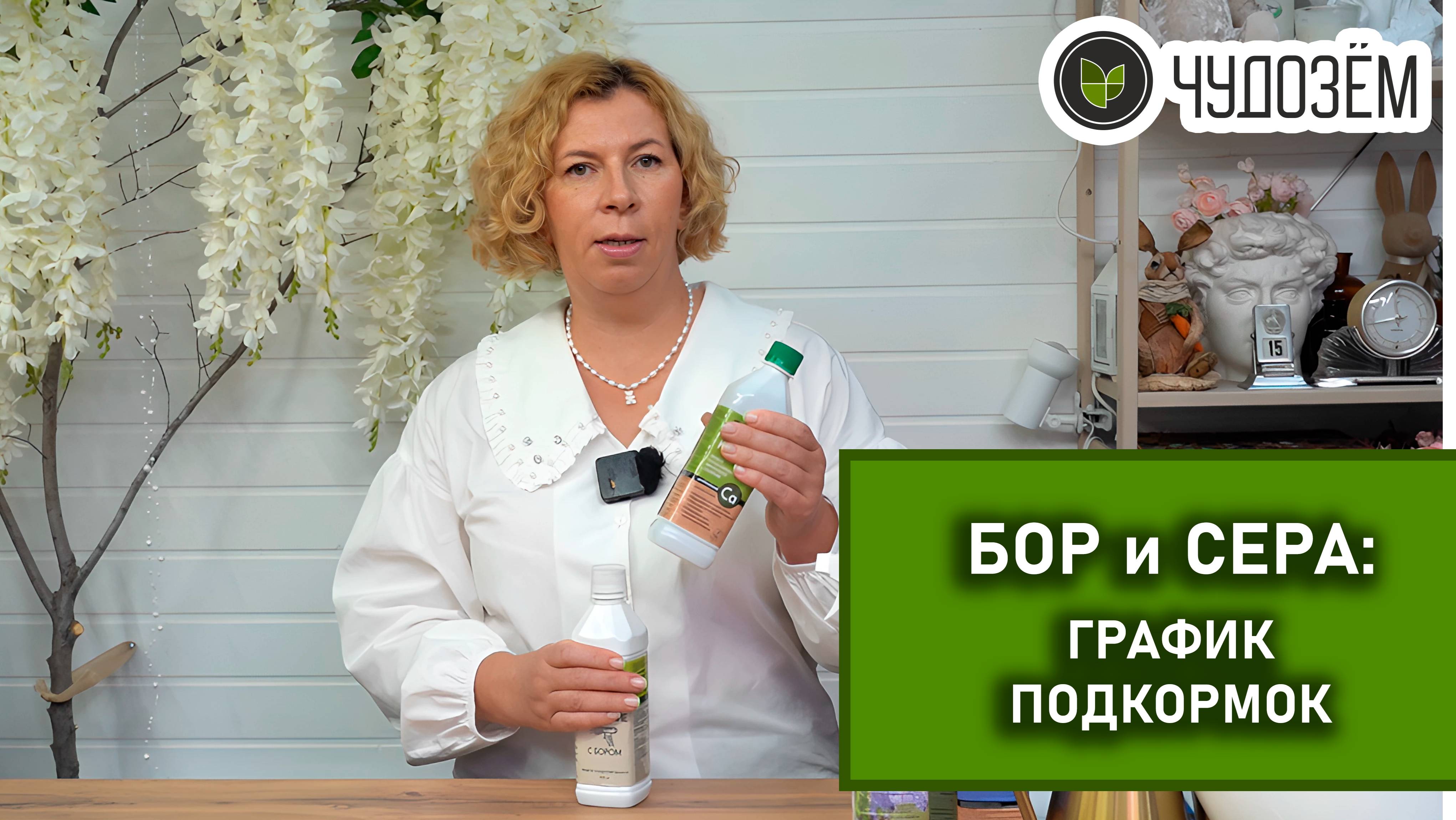 "Рассада, которая радует: используем удобрения Чудозём правильно!"