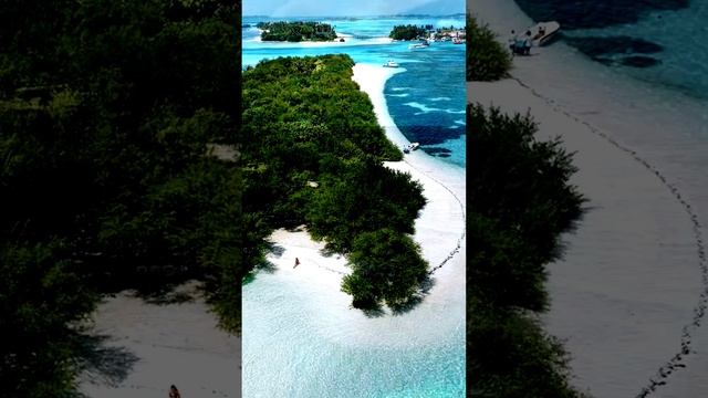 Кадры повседневной жизни