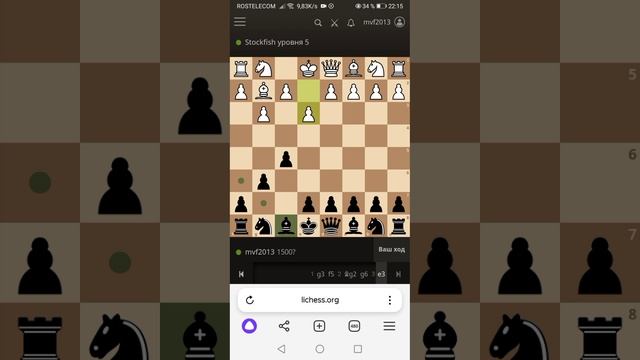 Личес дебют Бердо