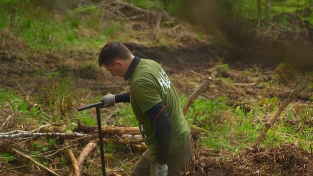 Как 199 рублей поменяют природу. Посадка деревьев на Алтае с Alexey4planet