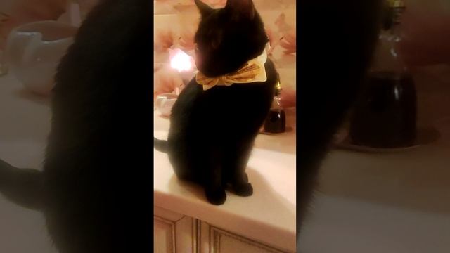 Когда ты "мамина" радость 😄😍💕
