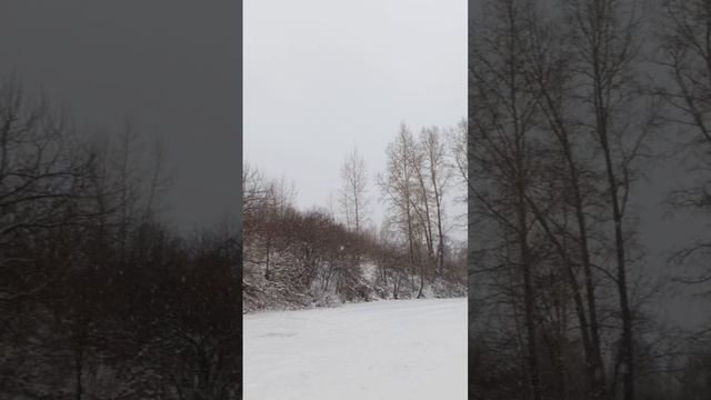 метель