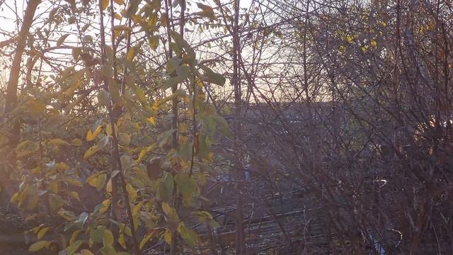Осеннего, прекрасного утра!