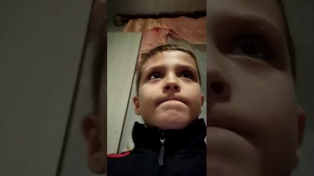 камера