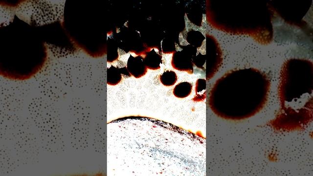 Уличные зарисовки