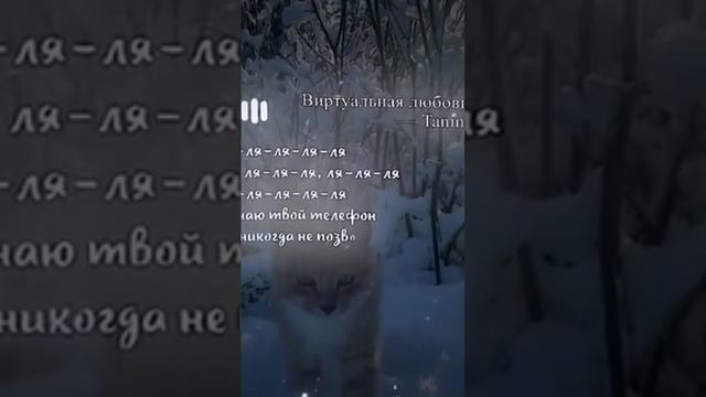 lv_0_20241122123817.mp4