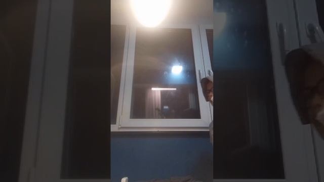 scene_output.mp4