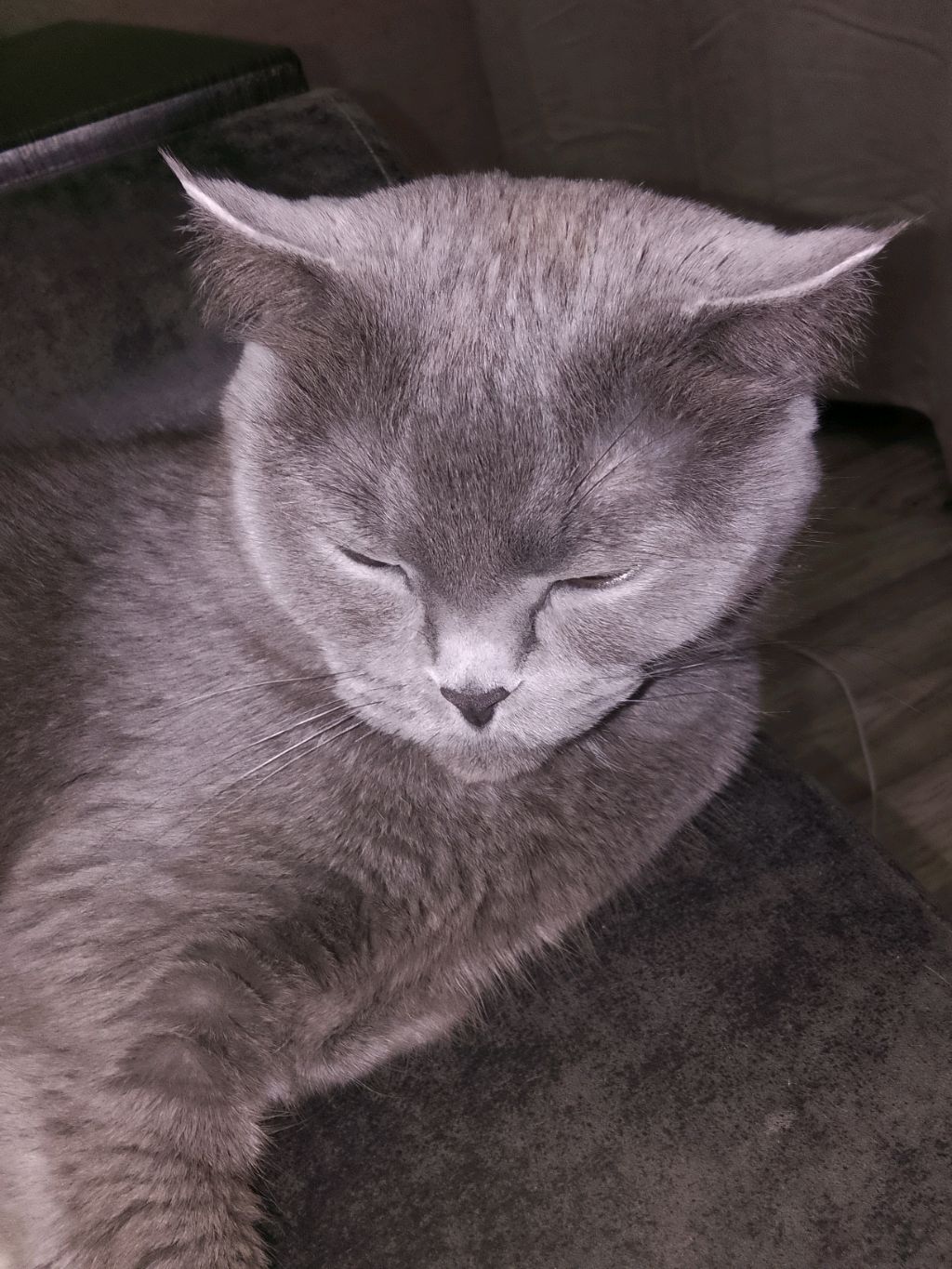 масиська🥺💓