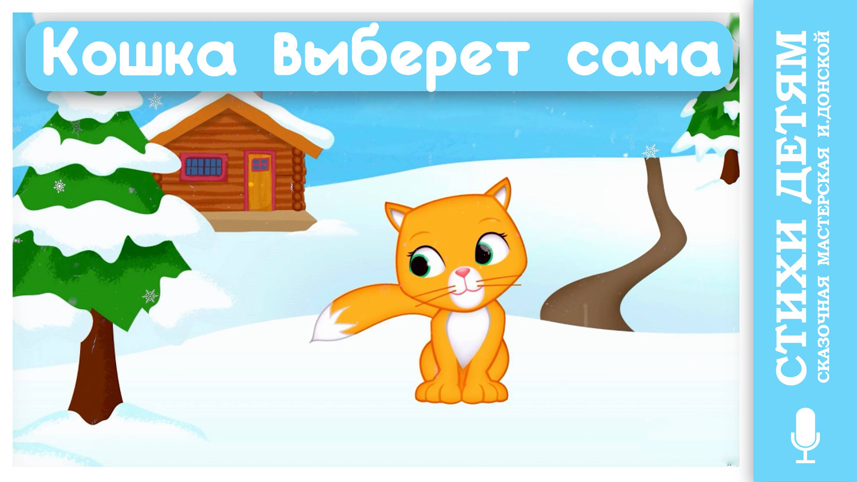 КОШКА ВЫБЕРЕТ САМА /детские стишки-мультяшки /