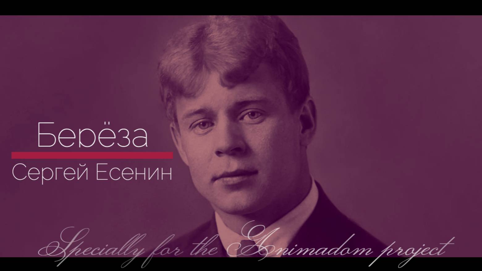 Берёза - Есенин С.А. @animadom | VinAMori ♥️