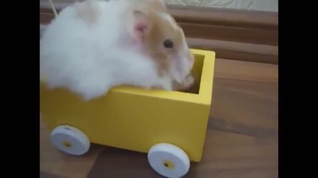 Ура.выходные!!!