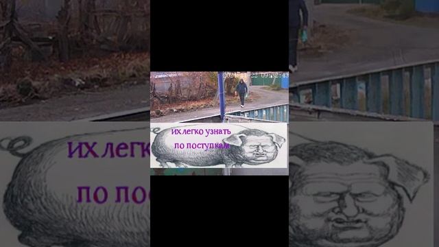 Невинномысск, а из нашего окна..22 11 24
