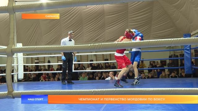 Чемпионат и первенство Мордовии по боксу