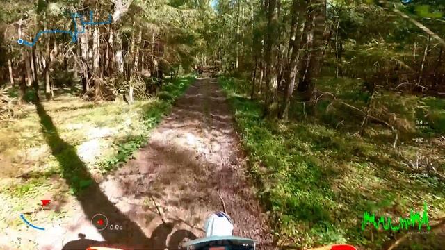 Первый опыт на эндуро - в лесу