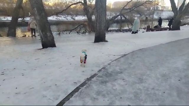 Как же хорошо гулять 2024 ноябрь