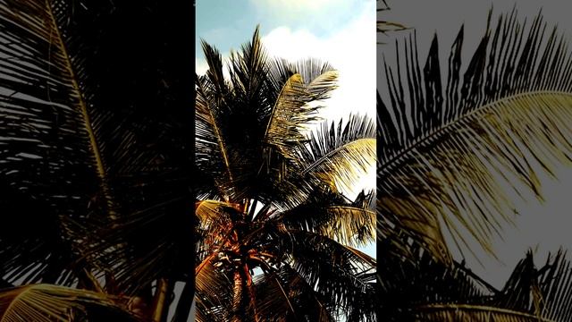 Повседневность на камеру