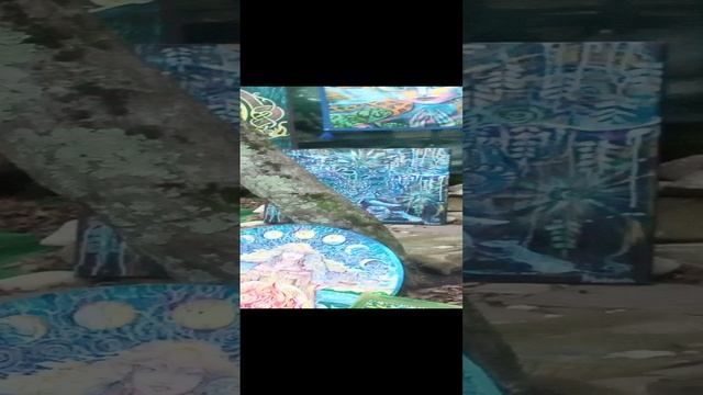 VID_20241122_162717.mp4