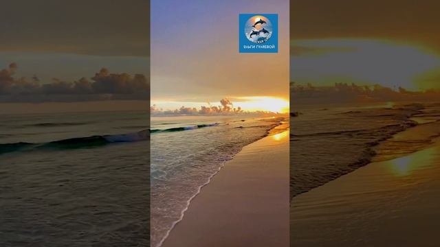 22 ноября день психолога в России