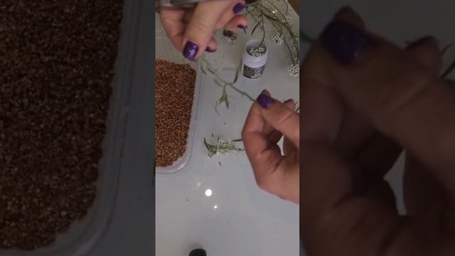 Укореняю вегетативный алиссум🌿