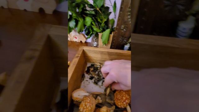 Сущеные грибы в декоре