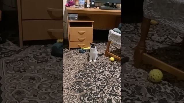 Вечерние посиделки ;-)