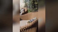 Комплект Рим из искусственного ротанга с круглым столом от Malacca