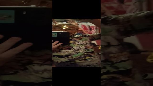 Обзор на бабочки