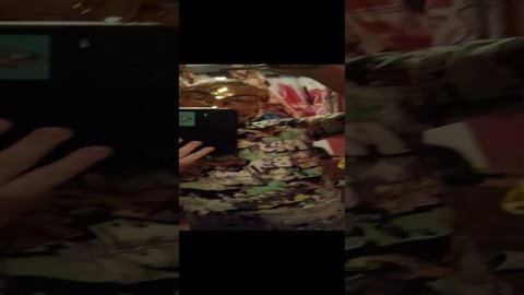 Обзор на бабочки