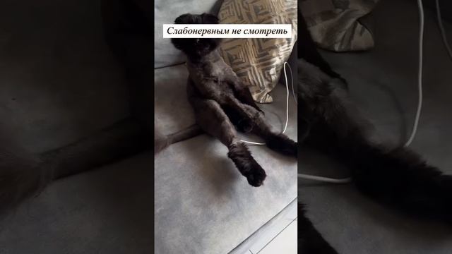 Слабонервным не смотреть