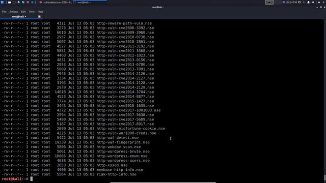 11 Nmap - HTTP Enumeration - Detecting HTTP Methods