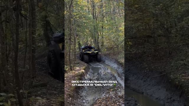 Вездеходы DELVITO