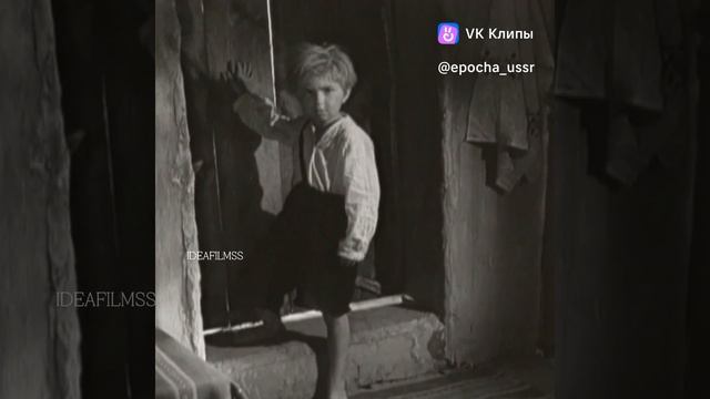 clip-218634768_456240239.mp4