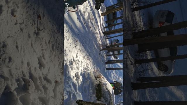 На природе 2