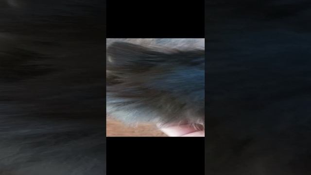 1000133805.mp4