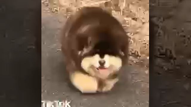1000007578.mp4