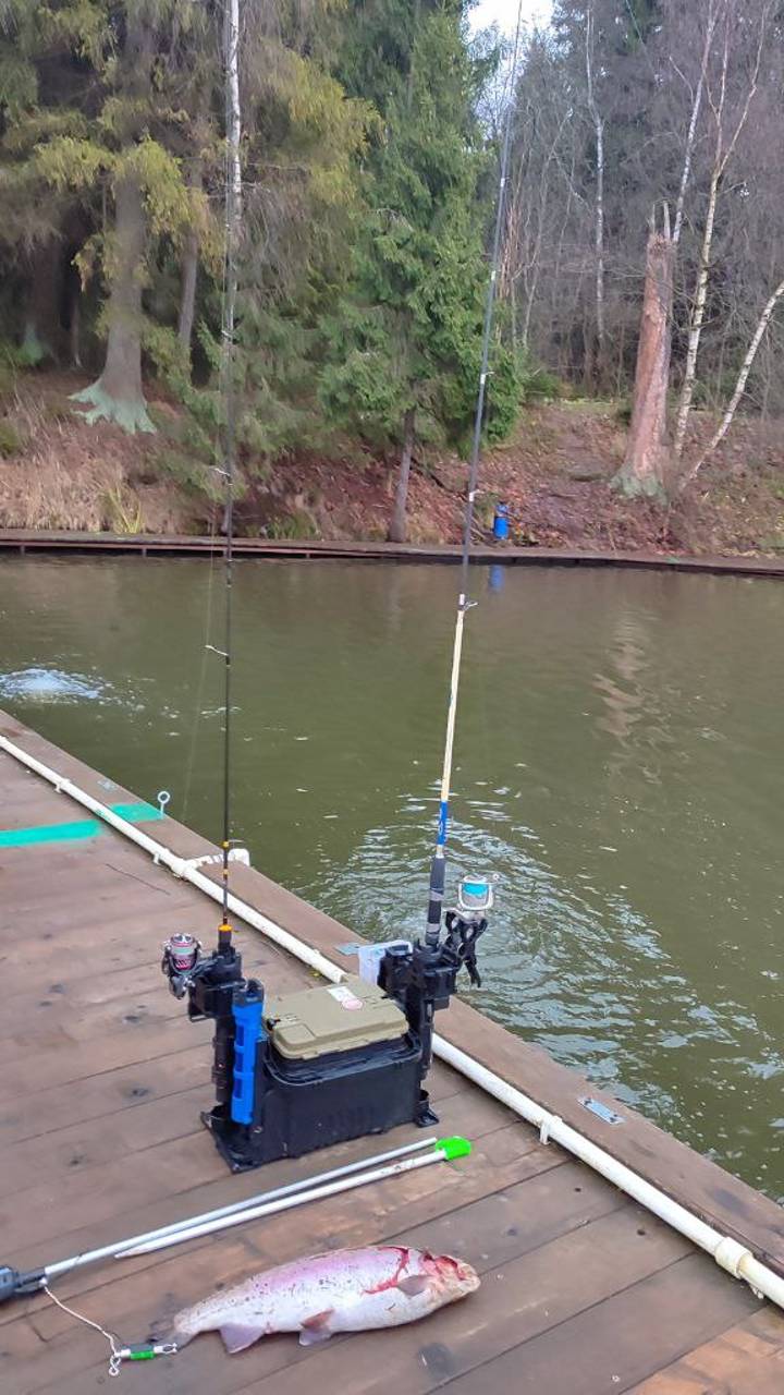 Поимка на донку