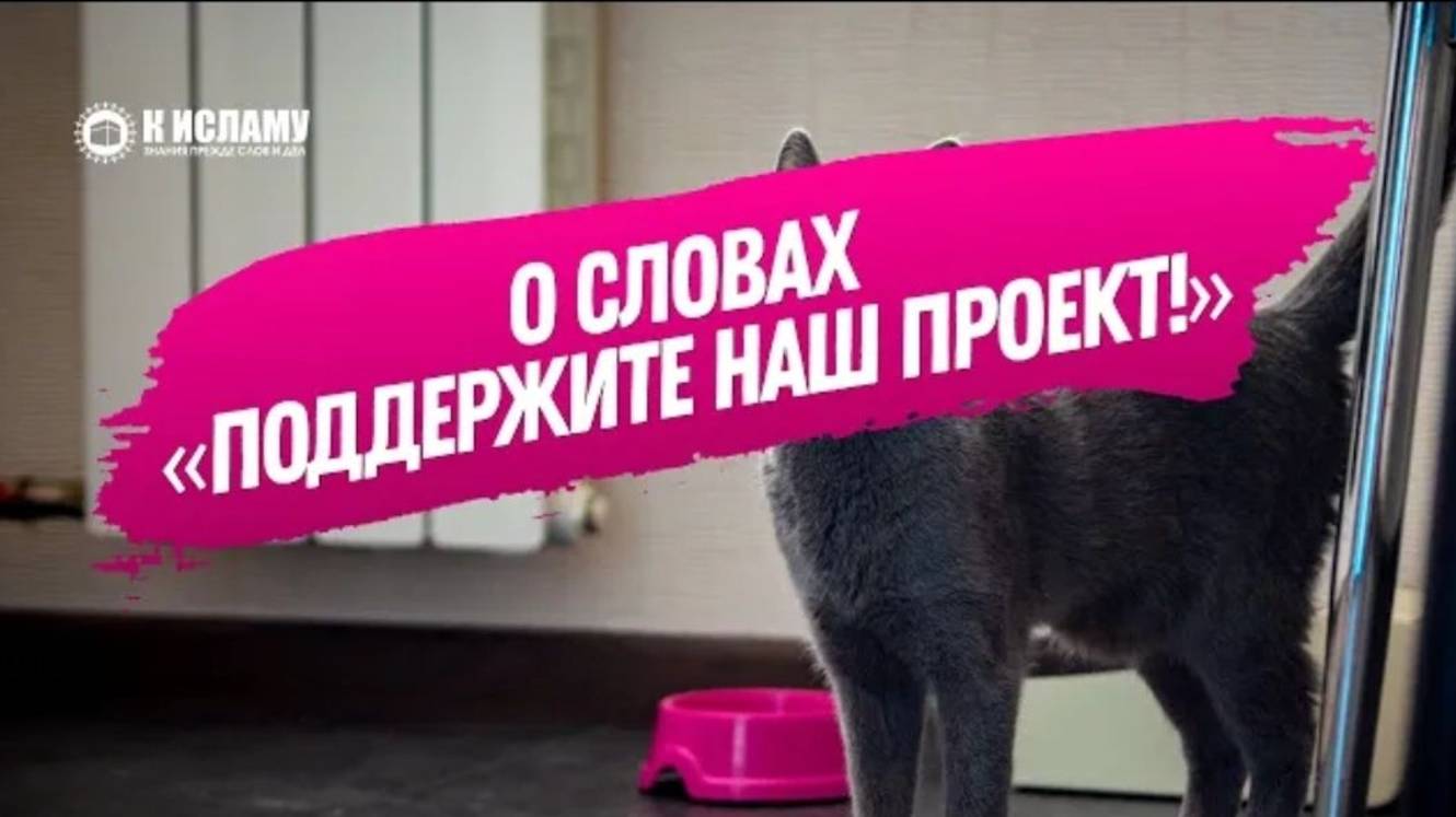 О словах «поддержите наш проект» и почему призывающий к Исламу не должен попрошайничать