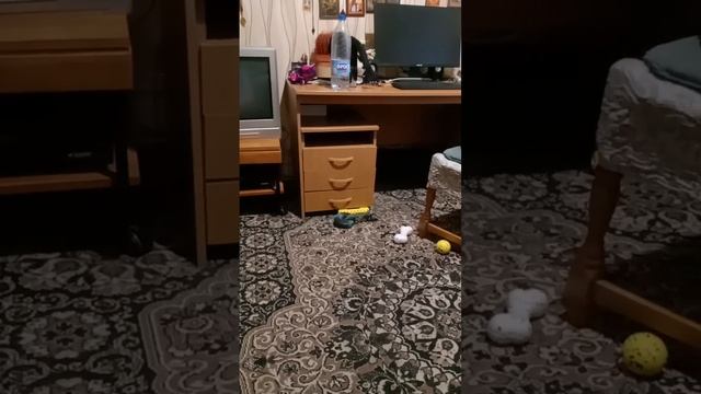 Вечерняя прогулка по комнате :-)
