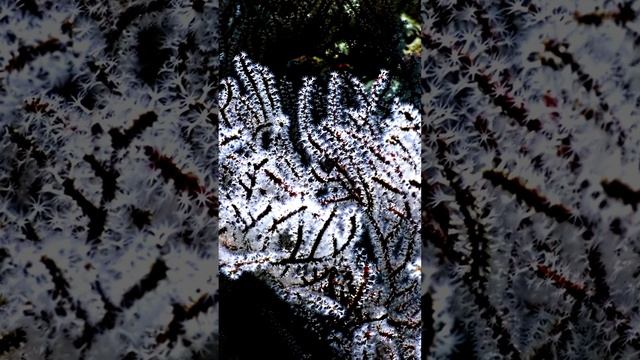 День глазами камеры