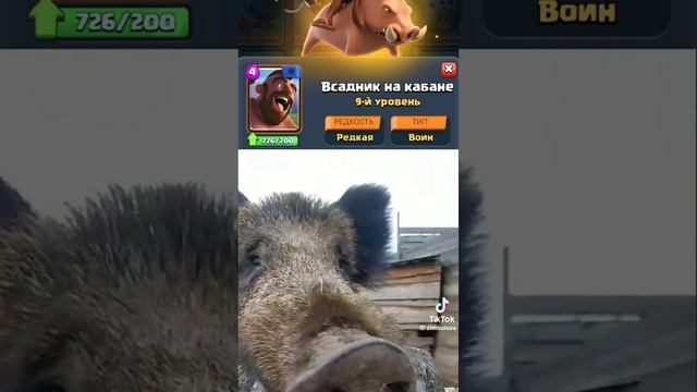 bc9f0189d074897b2d5b95a6848cd98a.mp4