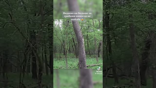 кошмар от которого вы наверное не уснёте
