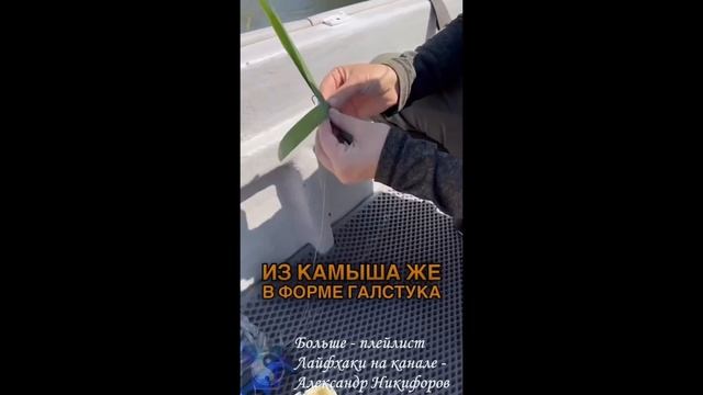 Рыбалка. Как поймать амура