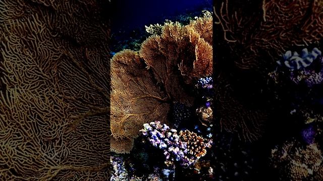Камера и моменты жизни