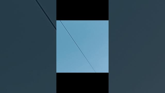 под тронваем львёнок