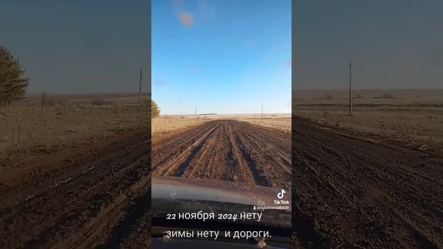 22 ноября